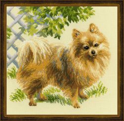 Broderikit Tavla Pomeranian