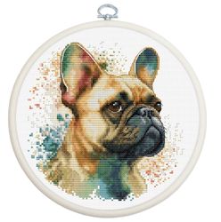 Broderikit Tavla The French Bulldog Fransk Bulldogg