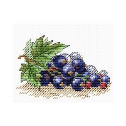 Broderikit Tavla Svarta Vinbär