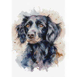 Broderikit Tavla Border Collie