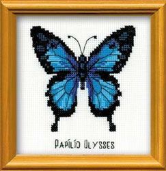 Broderikit Tavla För nybörjare En fjäril Papilio ulysses