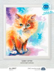 Broderikit Tavla Sunny Kitten - Kattunge i solstrålar