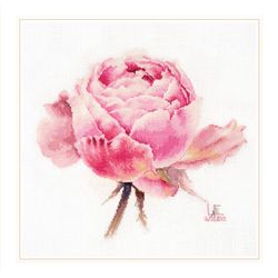Broderikit Tavla Watercolor roses. Pink exquisite - Ros