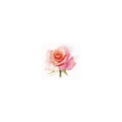 Broderikit Tavla The breath of Rose. Tenderness - Ros