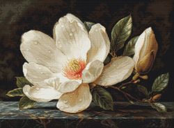 Broderikit Tavla The Magnolia Dew - Daggdroppar på magnolia blomma