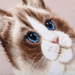 Broderikit Tavla - "Brush your Cat" - Ragdoll