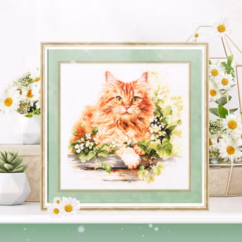 Broderikit Tavla The ginger cat - Söt rödhårig katt