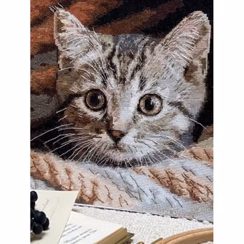 Broderikit Tavla Whiskered Spy - Sötnosen