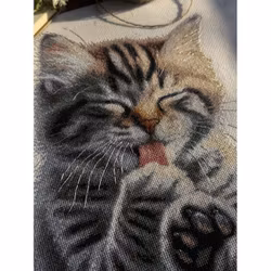 Broderikit Tavla Soft Paws - Kattunge