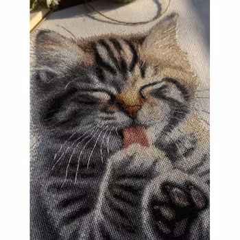 Broderikit Tavla Soft Paws - Kattunge