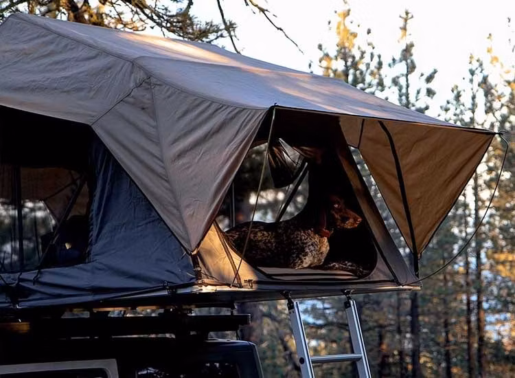 Taktält Front Runner