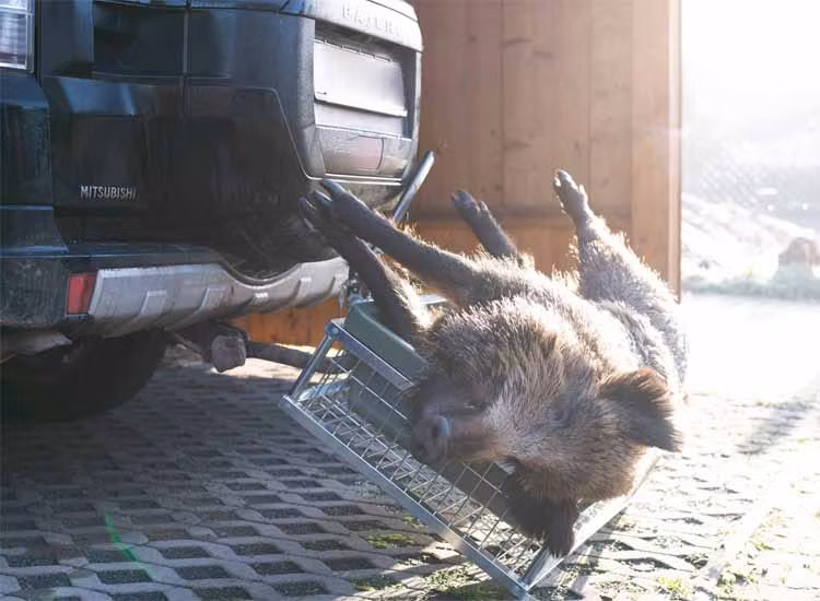 Lastkorg 890x585x200 förzinkad med tiltbart snabbfäste