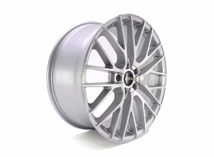 Twin Monotube Project Borstad silver 9x20 VW T6 / T6 / T6.1