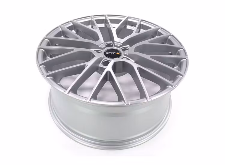 Twin Monotube Project Borstad silver 9x20 VW T6 / T6 / T6.1