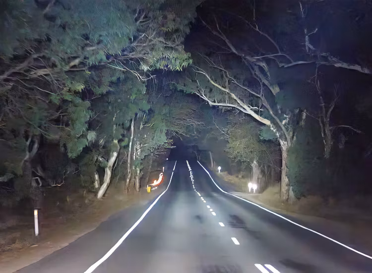 Lightforce Venom Professional 150mm LED extraljus