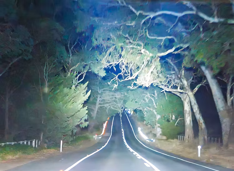 Lightforce Genesis Professional 210mm LED extraljus