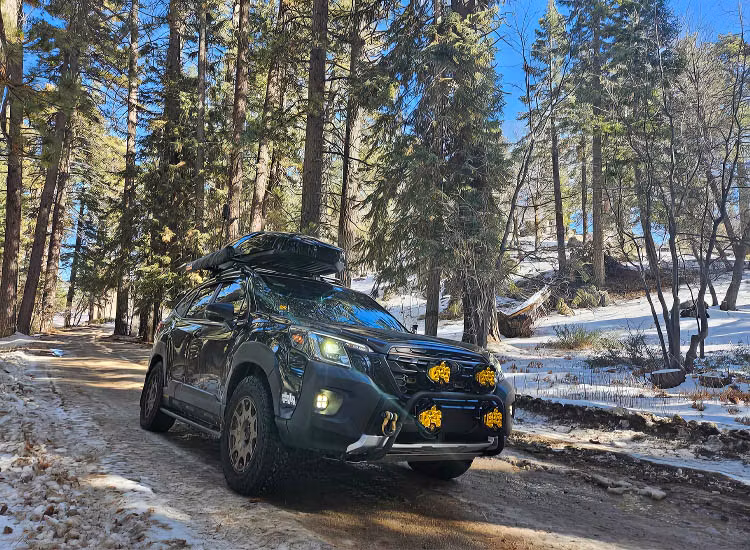 Pedders höjningssats 50mm Subaru Forester 2018+