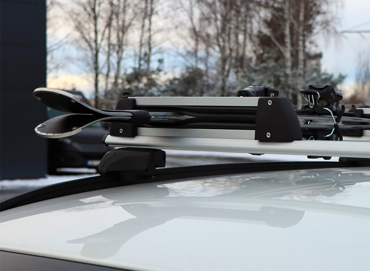 Skidhållare takräcke