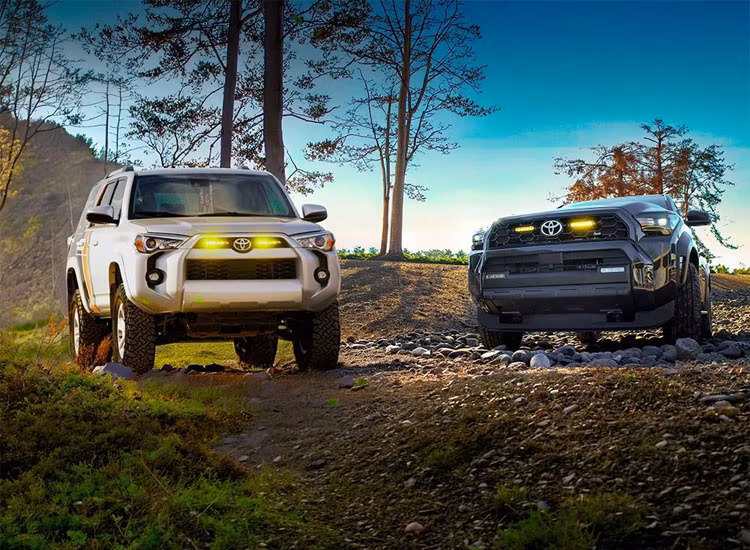 Lazer Linear 6 Elite Gul LED-ljusramp