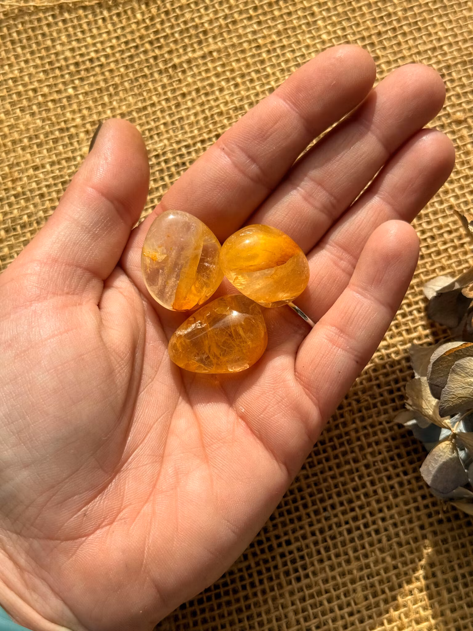 Golden healer trumlad