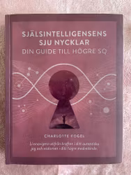 Själsintelligensens Sju Nycklar, Din guide till högre SQ