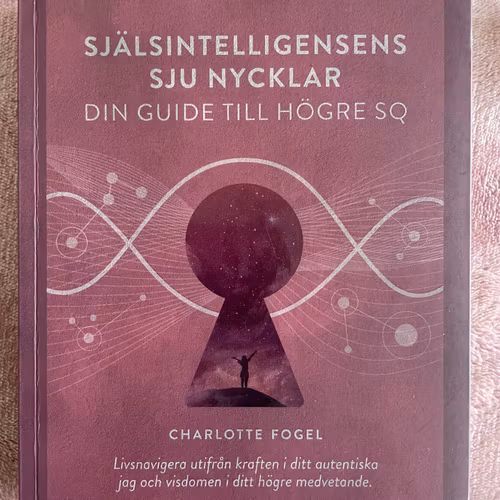 Själsintelligensens Sju Nycklar, Din guide till högre SQ