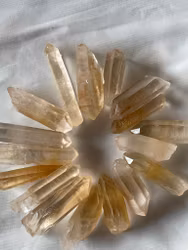 Goldenhealer spetsar ca 3-4 cm 10-22 g