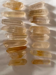 Goldenhealer spetsar ca 3-4 cm 10-22 g