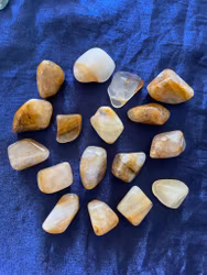 Goldenhealer bruna (stora)