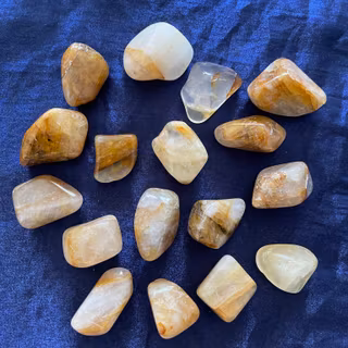 Goldenhealer bruna (stora)