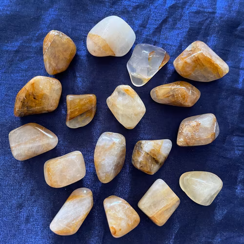 Goldenhealer bruna (stora)