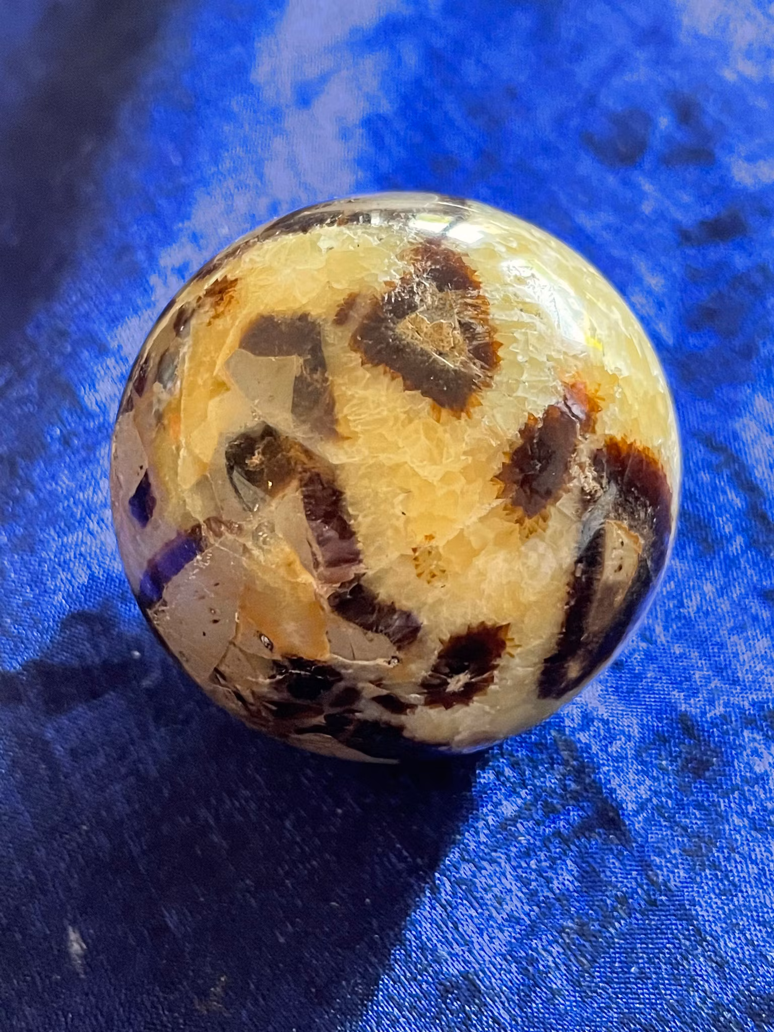 På bilden visas ett vackert klot i Septarian även kallad Draksten