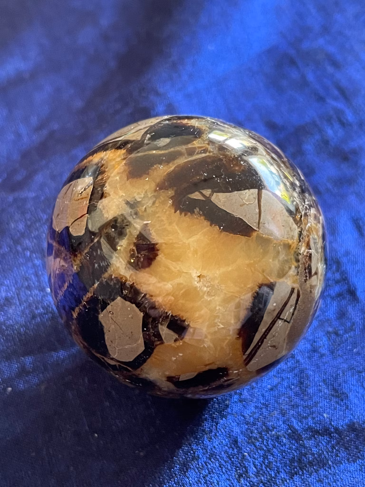 På bilden visas ett vackert klot i Septarian även kallad Draksten