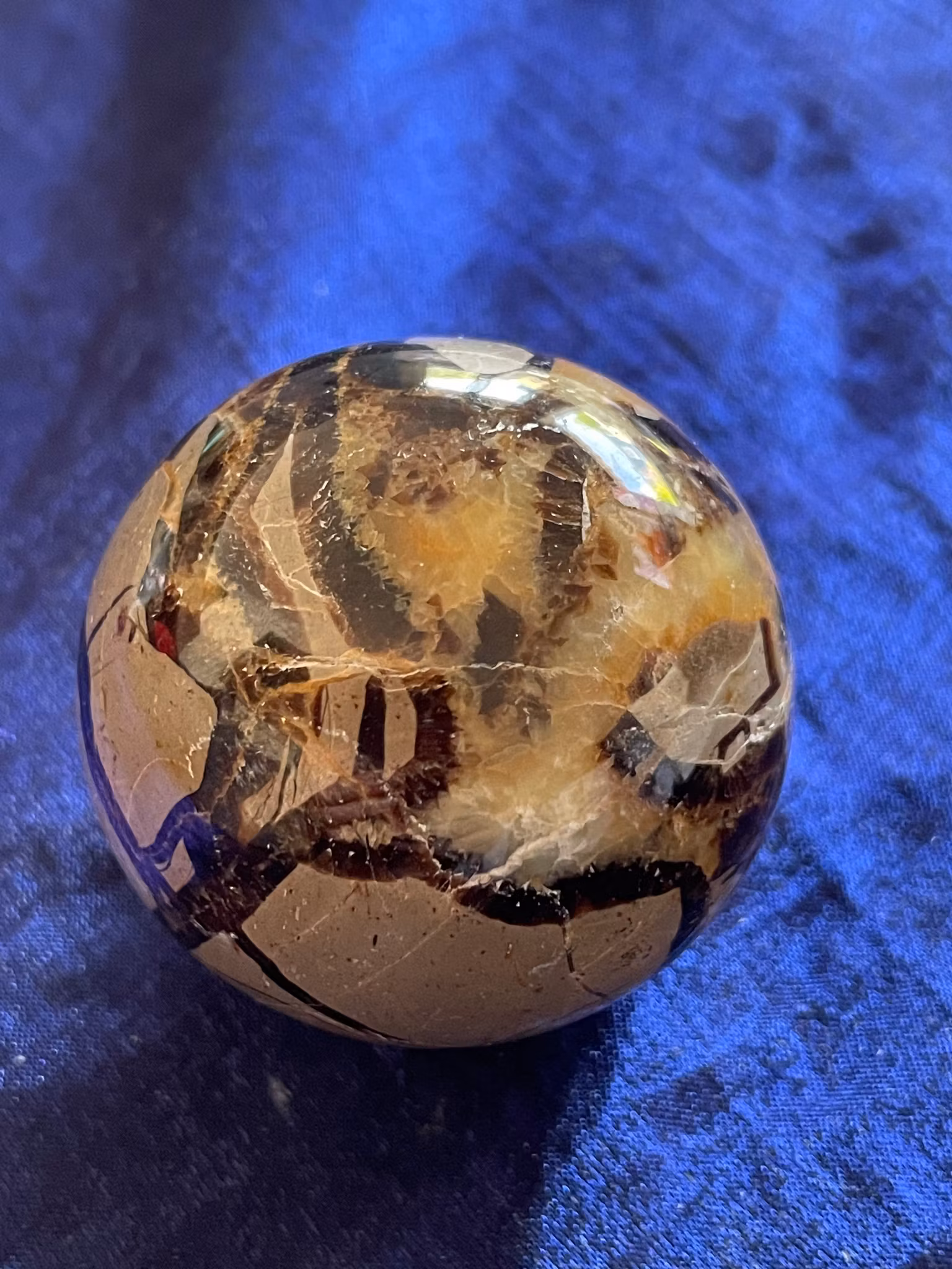 På bilden visas ett vackert klot i Septarian även kallad Draksten