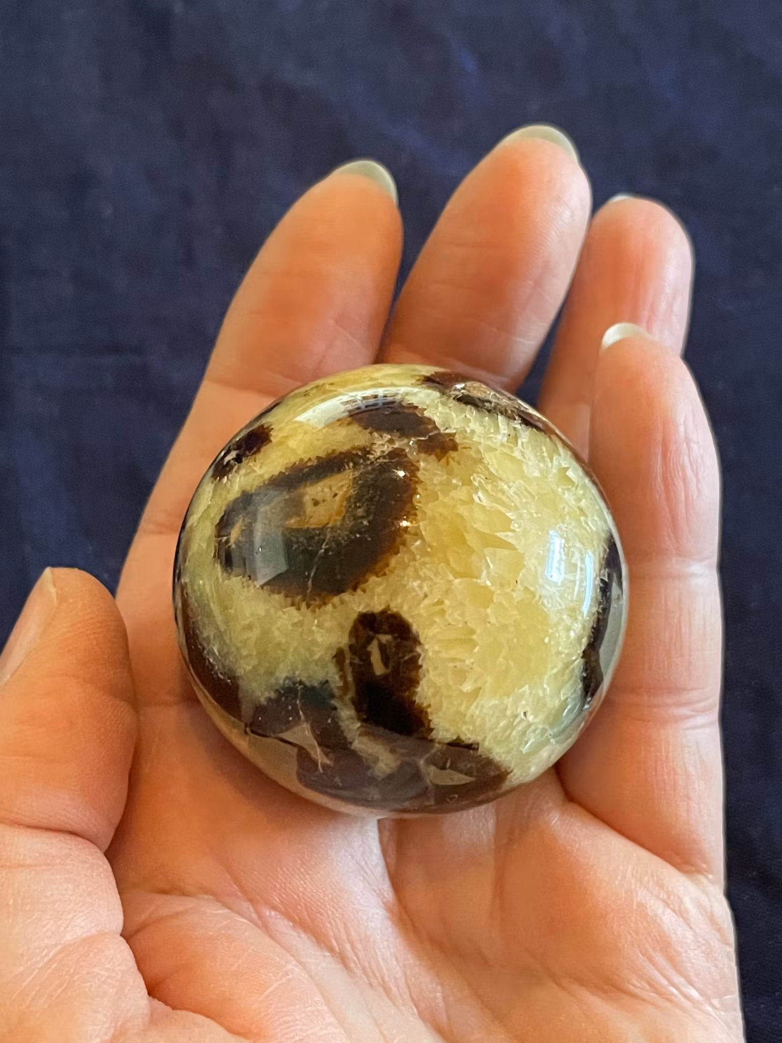 På bilden visas ett vackert klot i Septarian även kallad Draksten liggande i en hand