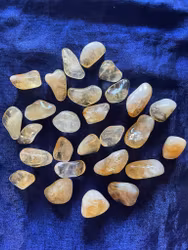 Citrin trumlad (mellan)