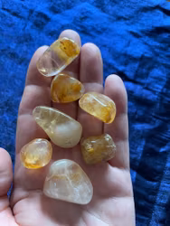 Goldenhealer trumlad (små)