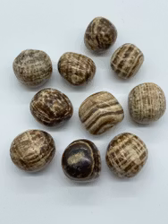 Aragonit Cuddlestone