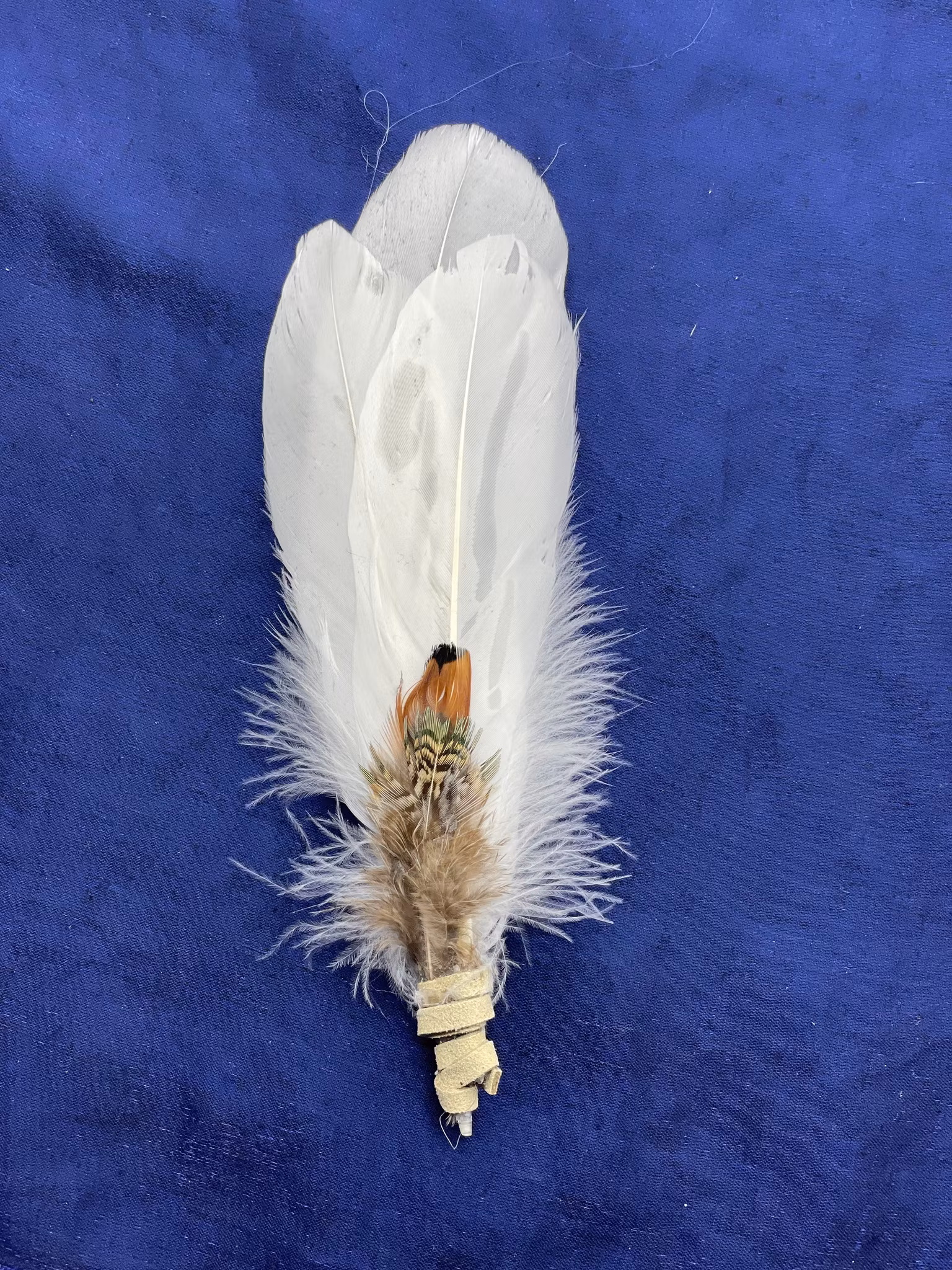 Smudge fjäder som har en vit botten och ett randigt mönster på den lilla brunaktiga fjädern fram