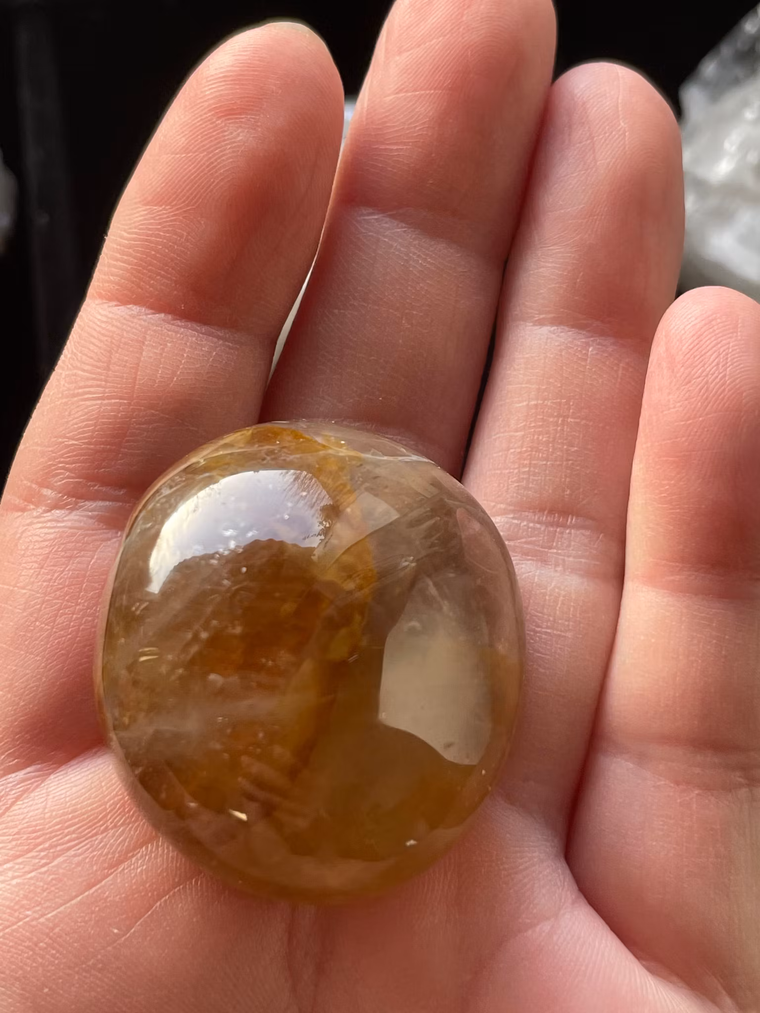 Goldenhealer Palmstone (nr30)