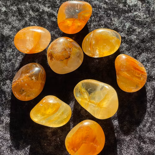 Goldenhealer gyllene trumlad (stora)