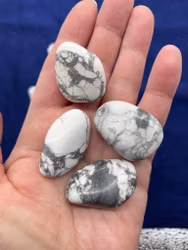 Howlit trumlad (stor)