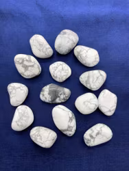 Howlit trumlad (stor)