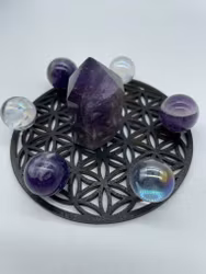 Kristallnät mini (10cm) Livetsblomma svart