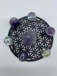 Kristallnät mini (10cm) Livetsblomma svart