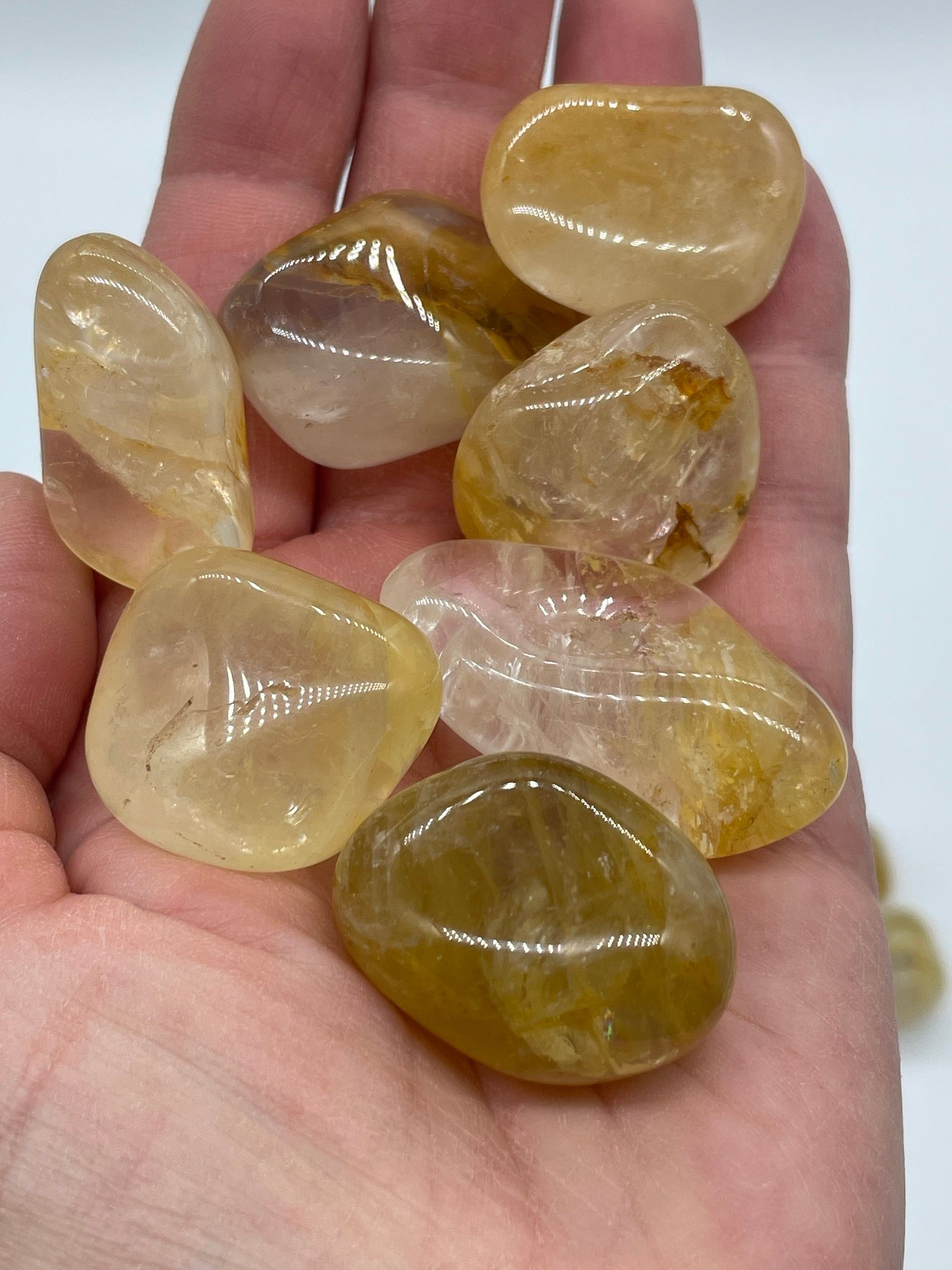 Goldenhealer gyllene trumlad (stora)