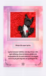 Kärlek & Relationsorakel