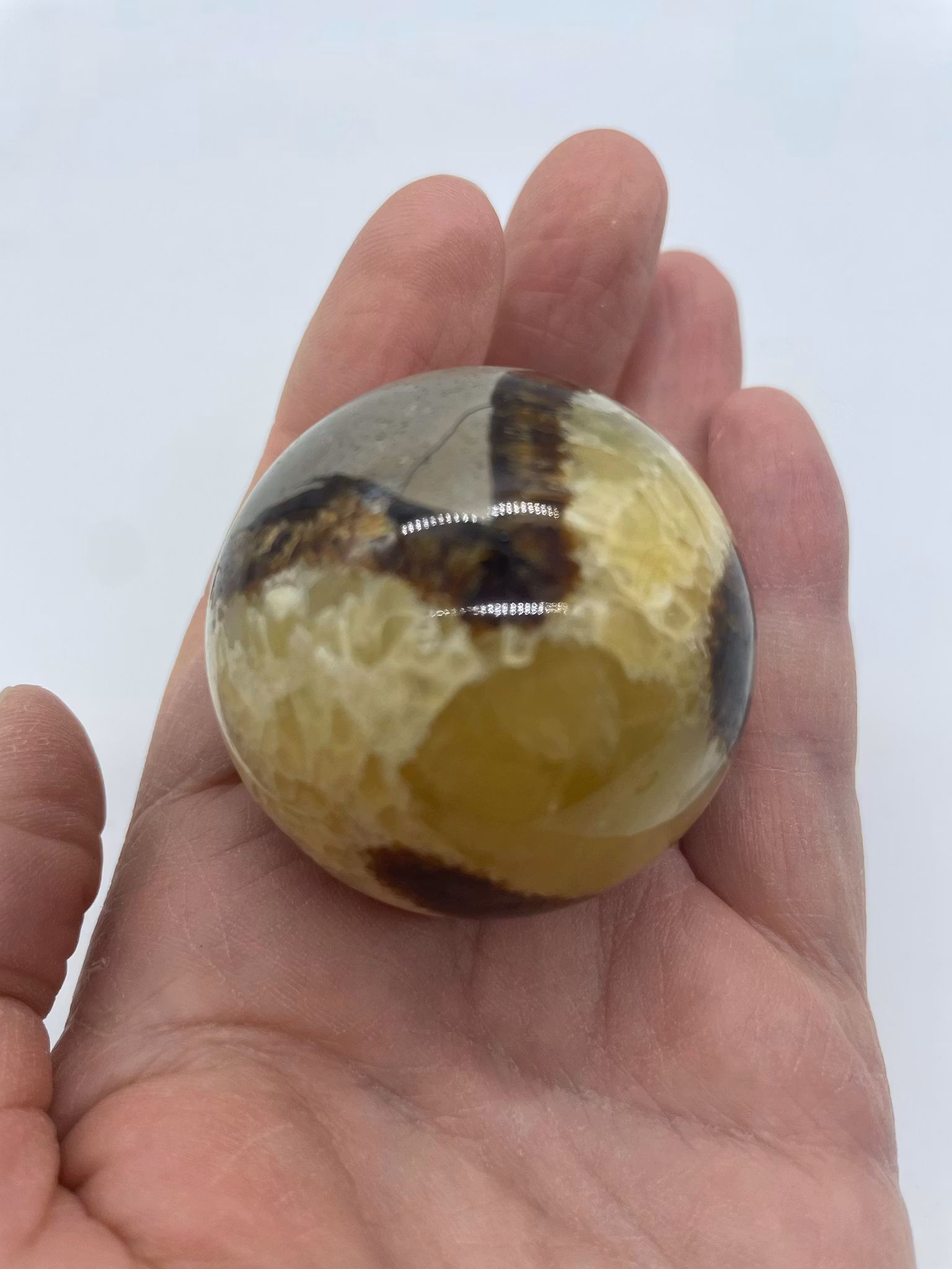 bilden visar ett klot i Septarian även kallad draksten