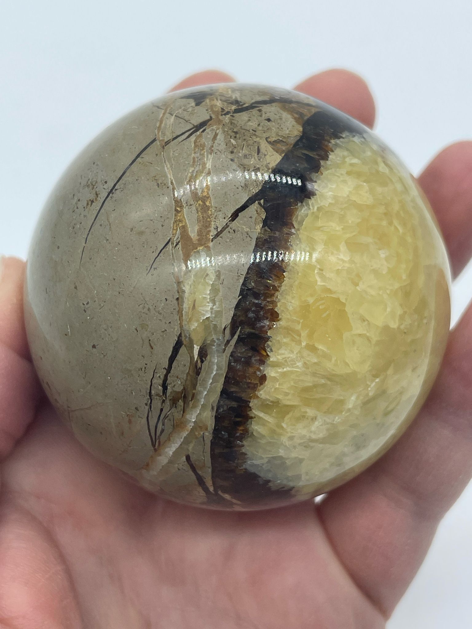 bilden visar ett klot i Septarian även kallad draksten