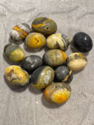 Bumblebee Jaspis cuddlestone